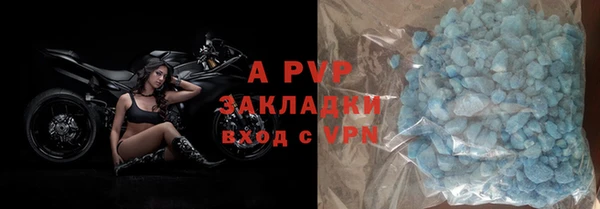 сатива Абинск