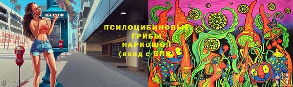 стафф Алзамай