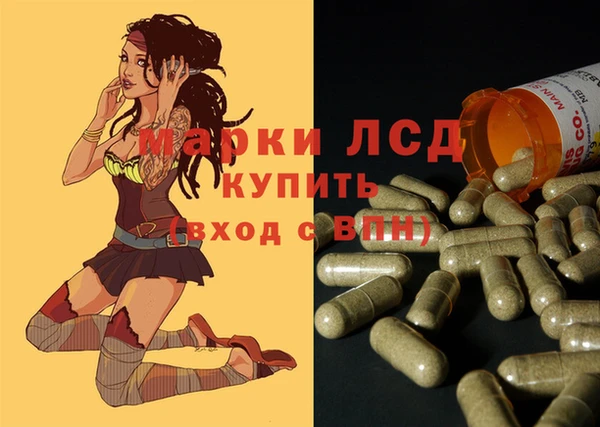 стафф Алзамай