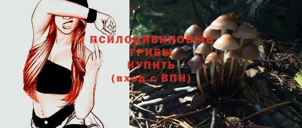 круглые Абаза